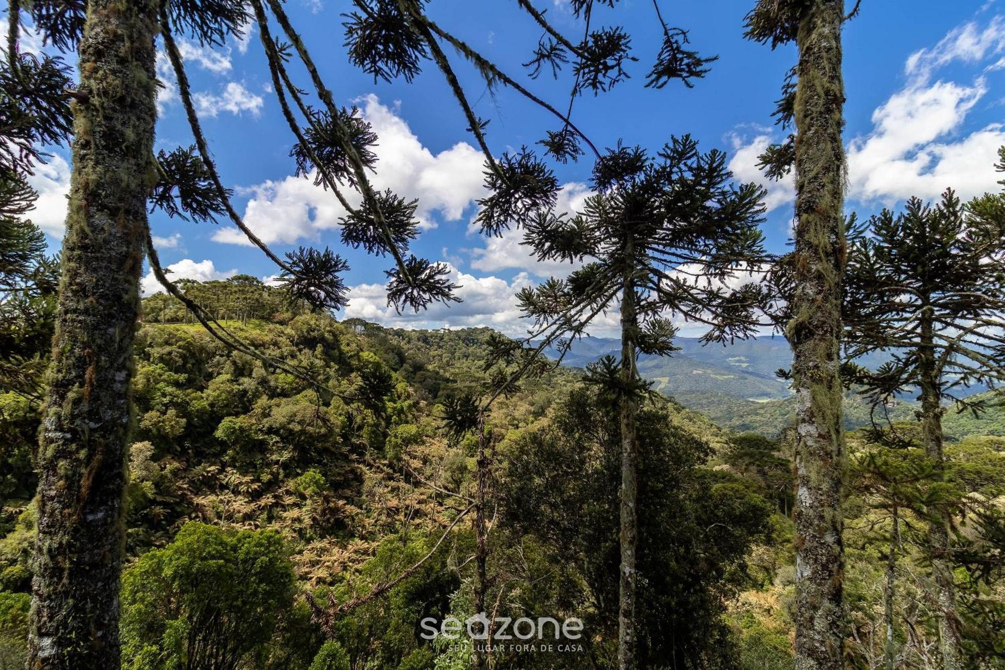 Chales Encantadores Em Urubici/Sc - Par Zimmer foto